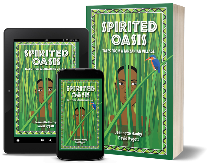 Rendering of different cover formats of #spiritedoasisbook