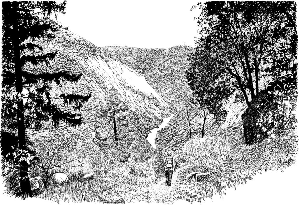 Author hiking down into a forested river canyon