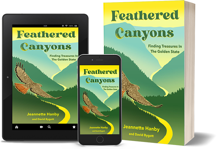 Shows the cover design of the Feathered Canyons book in different formats.